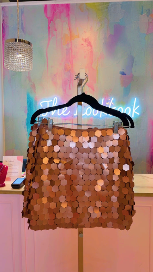 Kyomi Brown Sequin Skirt